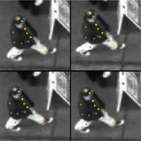 four views of a man walking